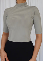 Turtle Neck knitted Top